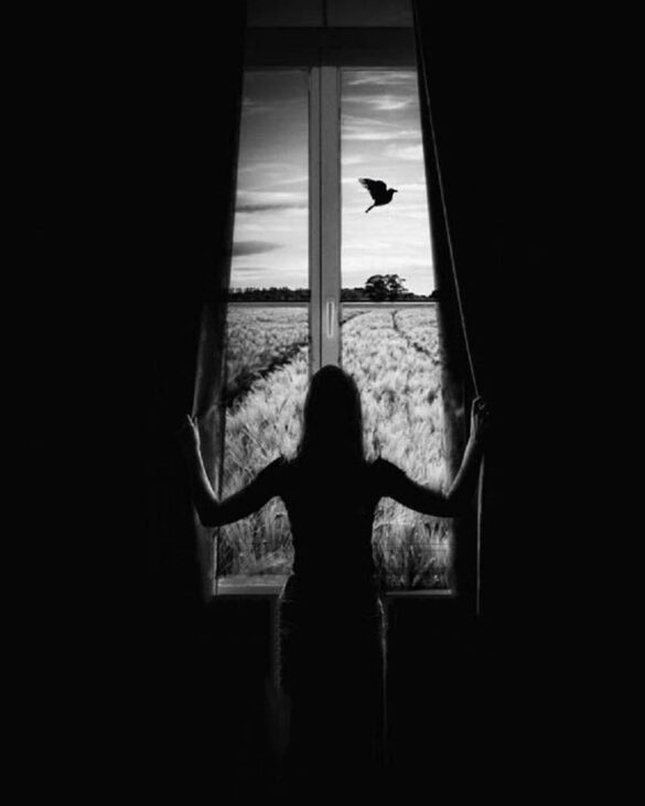 woman window free bird