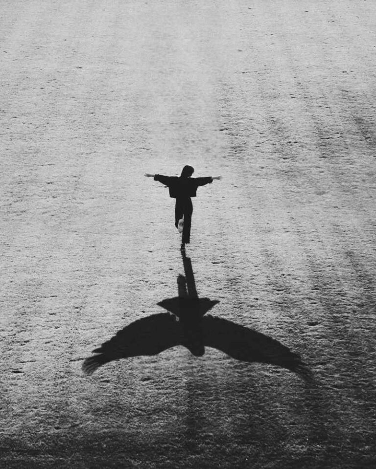 پرواز بر روی زمین